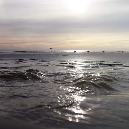 10 Person In Oksbol-by Traum 別荘 Oksbøl