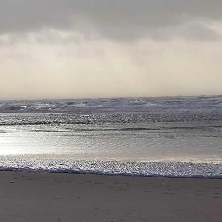 別荘 10 Person In Oksbol-by Traum *