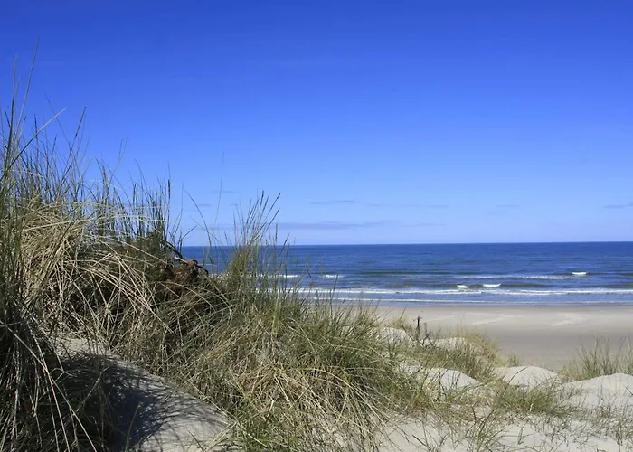 10 Person In Oksbol-by Traum Oksbøl