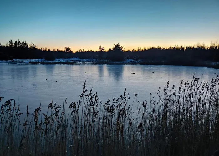 Semesterbostad 10 Person In Oksbol-by Traum Oksbøl