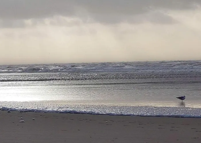 Semesterbostad 10 Person In Oksbol-by Traum *